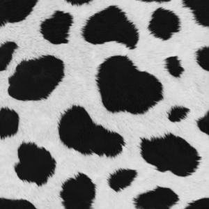 Cow Print