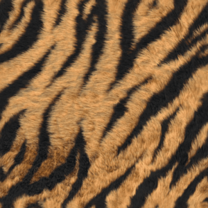 Tiger Print